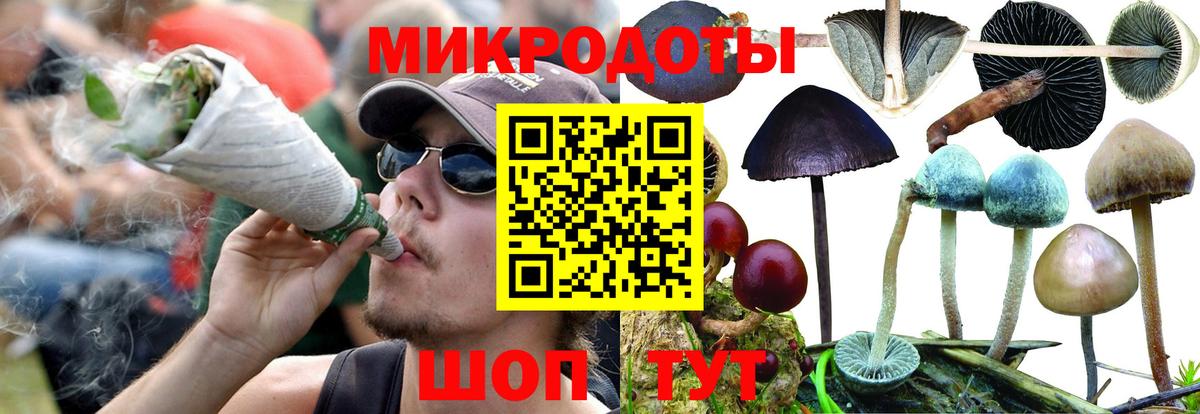 Омск  Галлюциногенные грибы GOLDEN TEACHER  Вход с VPN 